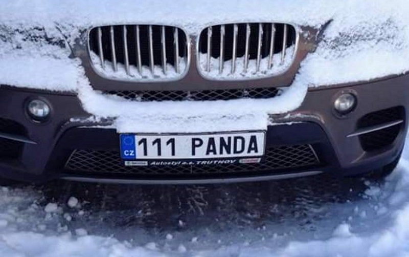 111-PANDA.jpg 111-PANDA