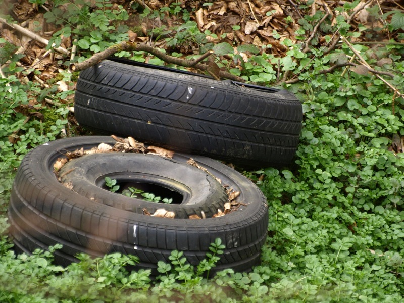 pneu-v-prirode.jpg Pneumatiky v přírodě